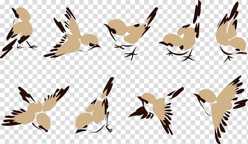 House Sparrow Bird , Ink pen Jane Little Sparrow. transparent background PNG clipart
