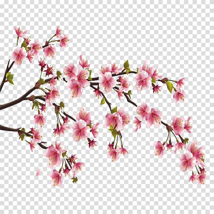 Cherry blossom Perfume Flower Diptyque, cherry blossom transparent background PNG clipart