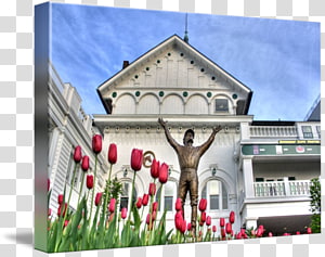 Gallery wrap Property Canvas House Art, house transparent background PNG clipart thumbnail