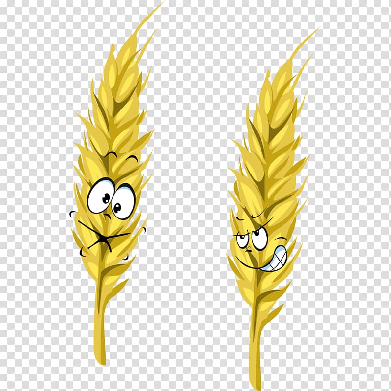Wheat Cartoon Ear, Cartoon wheat transparent background PNG clipart
