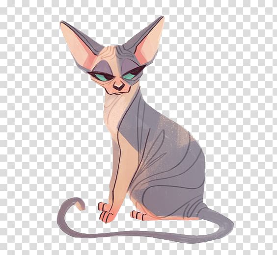 Sphynx cat Kitten Chantilly-Tiffany Drawing, kitten transparent background PNG clipart