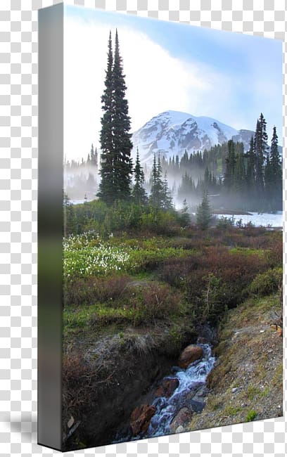 Mount Scenery Nature reserve Wilderness National park, snow melting transparent background PNG clipart