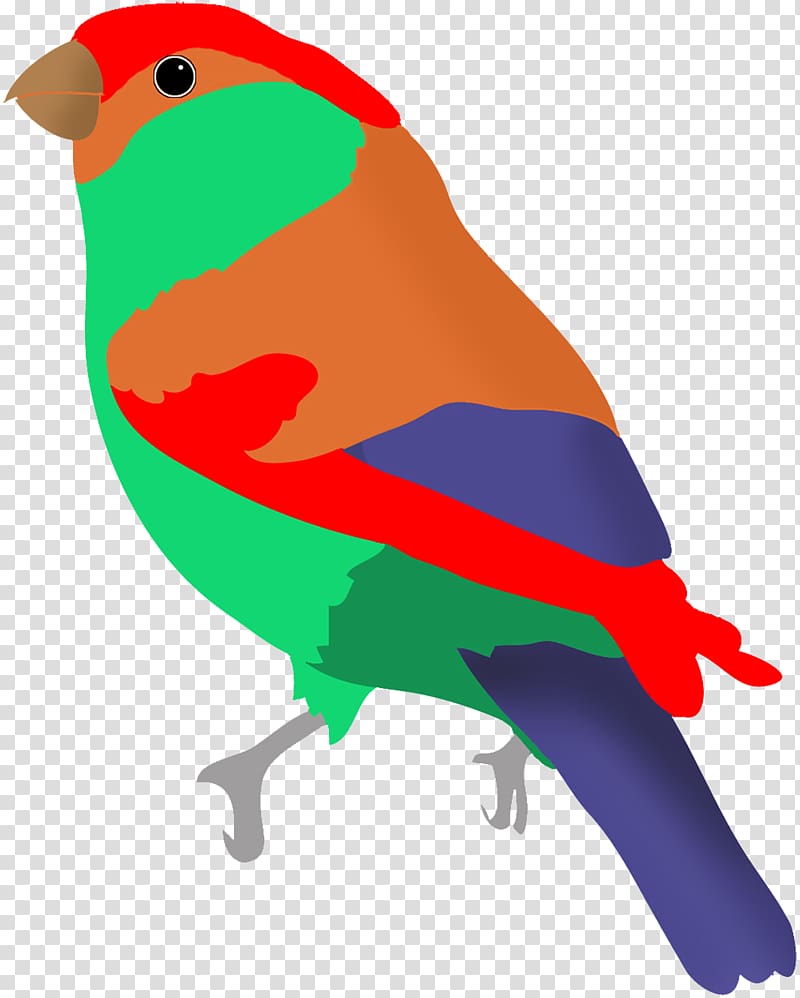 Lovebird Parrot Hummingbird , parrot transparent background PNG clipart