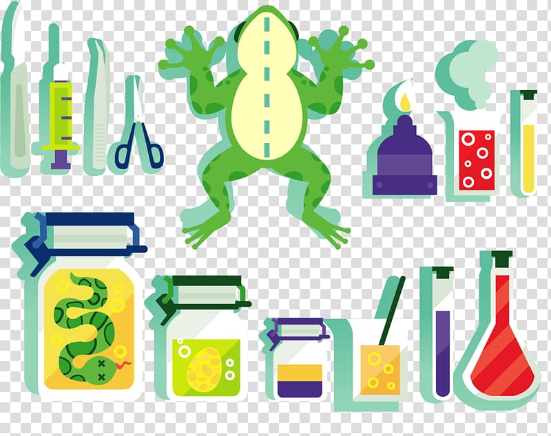 Euclidean Experiment Chemistry, painted frog dissection transparent background PNG clipart