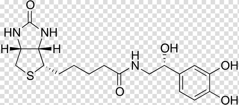 Dietary supplement Biotin Phenols Chemical substance Amino acid, Norepinephrine transparent background PNG clipart