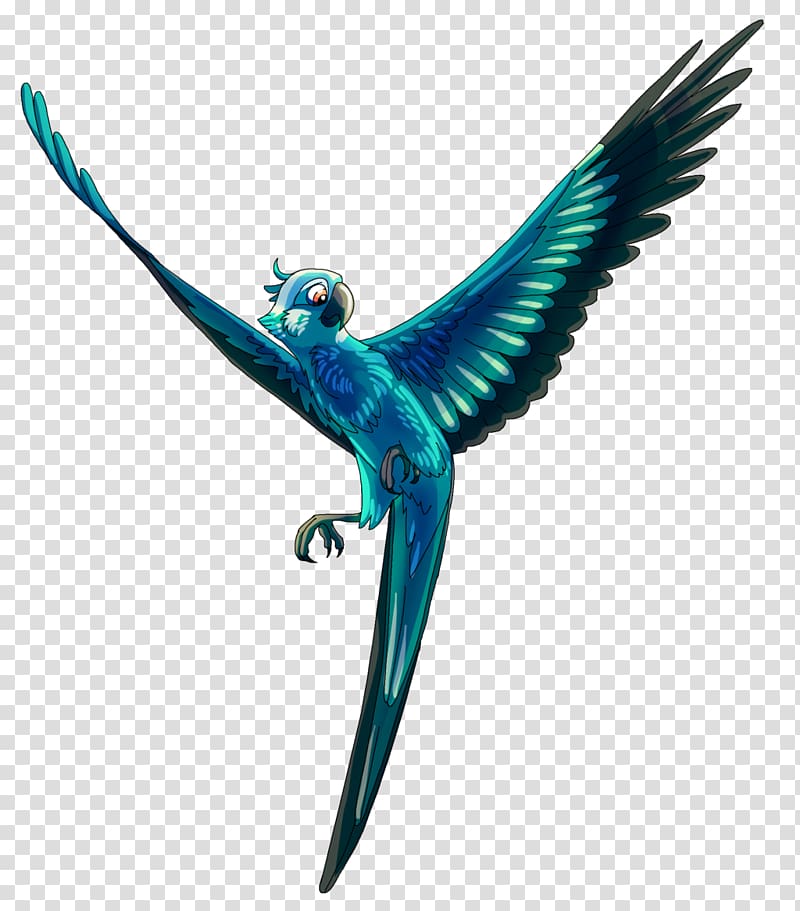 Spix\'s macaw Parrot Blu Jewel, parrot illustration transparent background PNG clipart