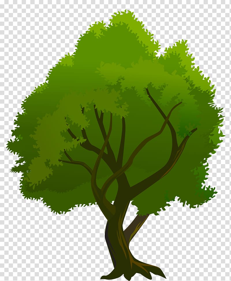 tree illustration, , Tree Green transparent background PNG clipart