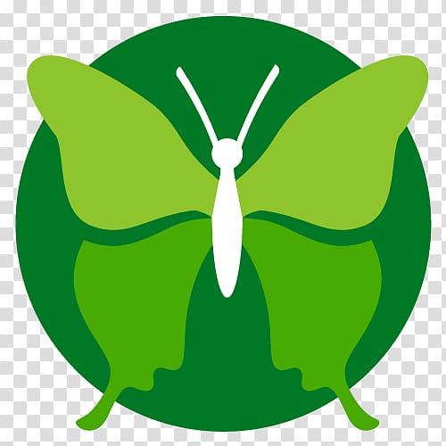 Butterfly Dating coach Coaching life coach , green butterfly transparent background PNG clipart