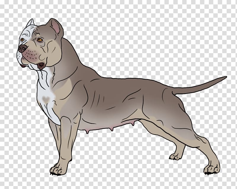 American Pit Bull Terrier Bulldog American Staffordshire Terrier Old English Terrier, pitbull transparent background PNG clipart