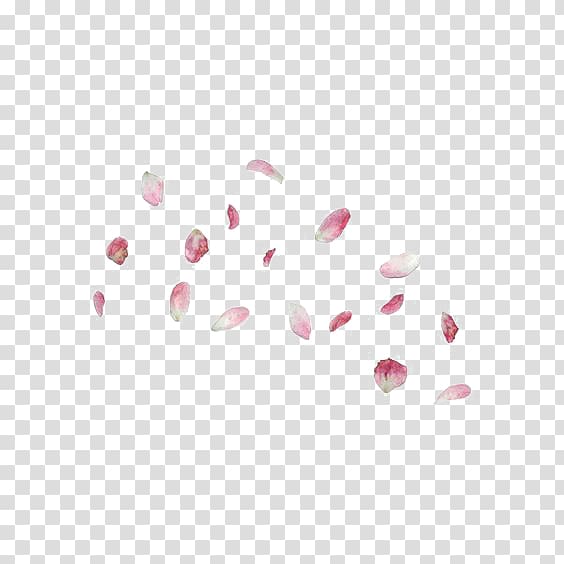 Petal , Hand-painted cherry petals transparent background PNG clipart