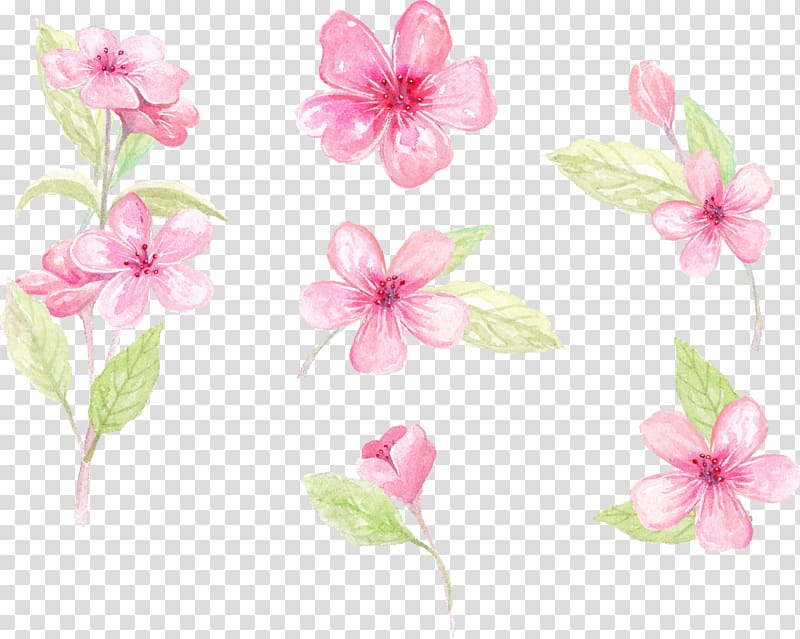 pink flowers illustration, Paper Floral design Flower , hand-painted flowers transparent background PNG clipart