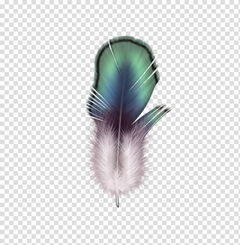 Firebird Feather Drawing, feather transparent background PNG clipart