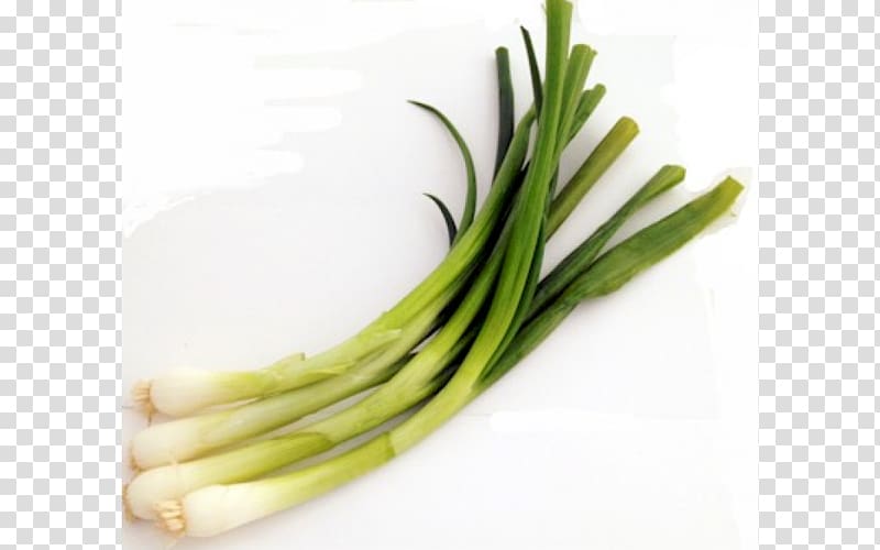 Scallion Chives Cong you bing Shallot Recipe, vegetable transparent background PNG clipart