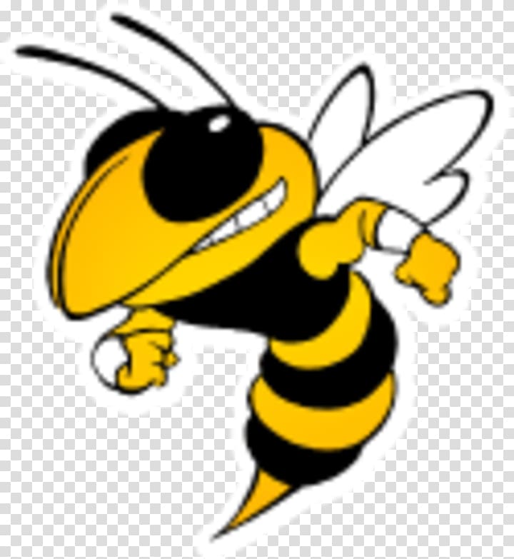 Georgia Institute of Technology Georgia Tech Yellow Jackets football Bee Yellowjacket Hornet, bee transparent background PNG clipart