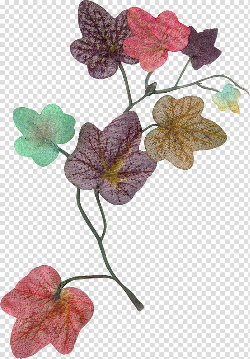Leaf Flower Portable Network Graphics Petal, leaf transparent background PNG clipart
