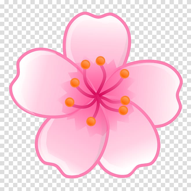 pink cherry blossom , Cherry blossom Flower , sakura flower transparent background PNG clipart