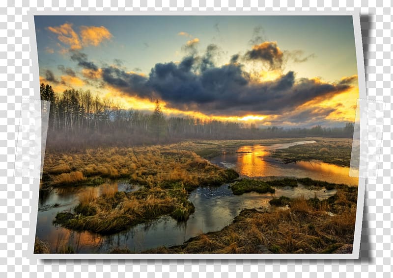 Wetland Landscape Sunset Desktop Swamps & Marshes, Cloud transparent background PNG clipart