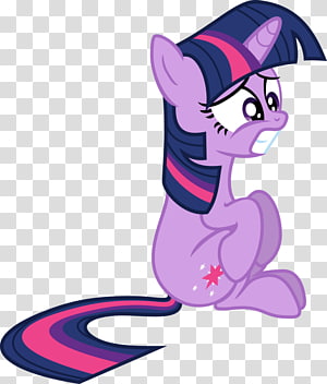 Cat Horse Pony , Cat transparent background PNG clipart thumbnail