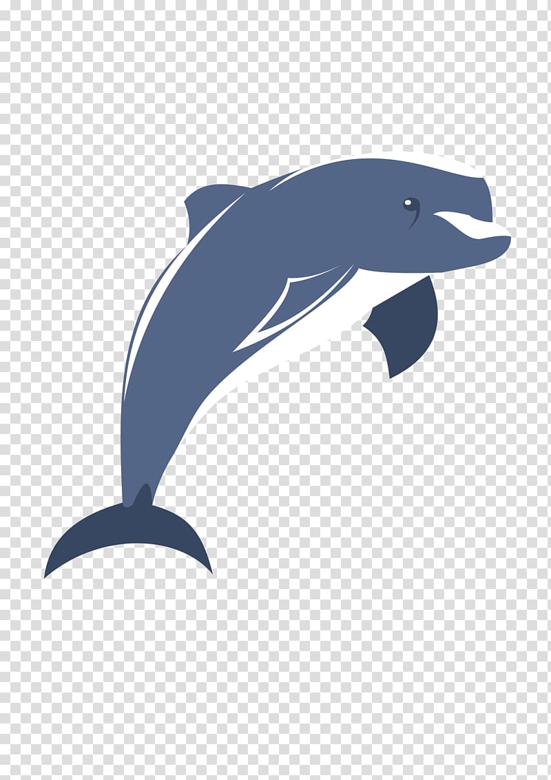 Common bottlenose dolphin Tucuxi Wholphin Short-beaked common dolphin Porpoise, Cartoon dolphin transparent background PNG clipart