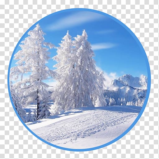 Desktop Snow Tree Winter Christmas, winter solstice transparent background PNG clipart