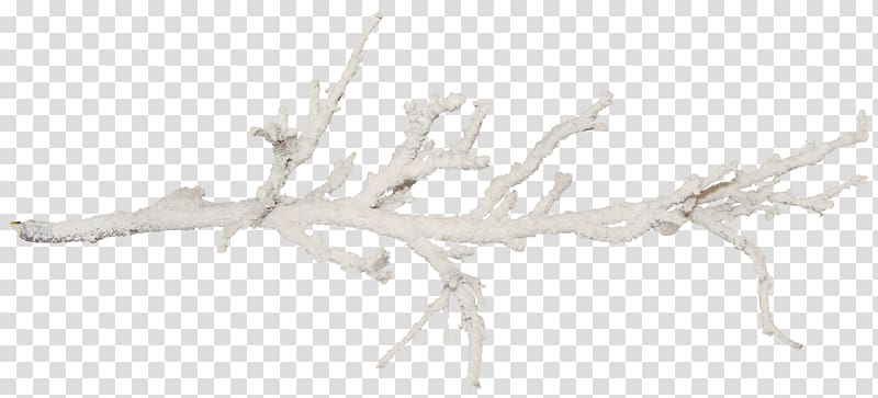 Branch Tree Twig Snow, salt transparent background PNG clipart