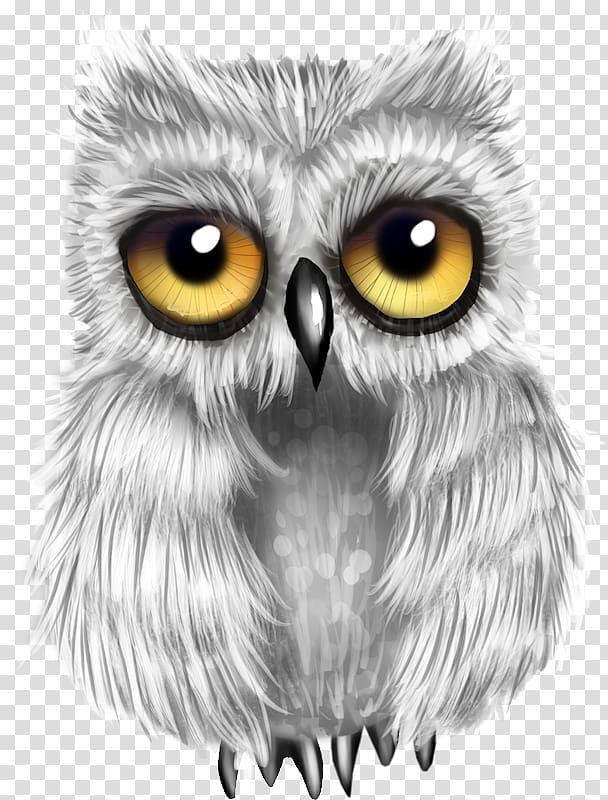 Great Grey Owl Bird Snowy owl Drawing, owl transparent background PNG clipart