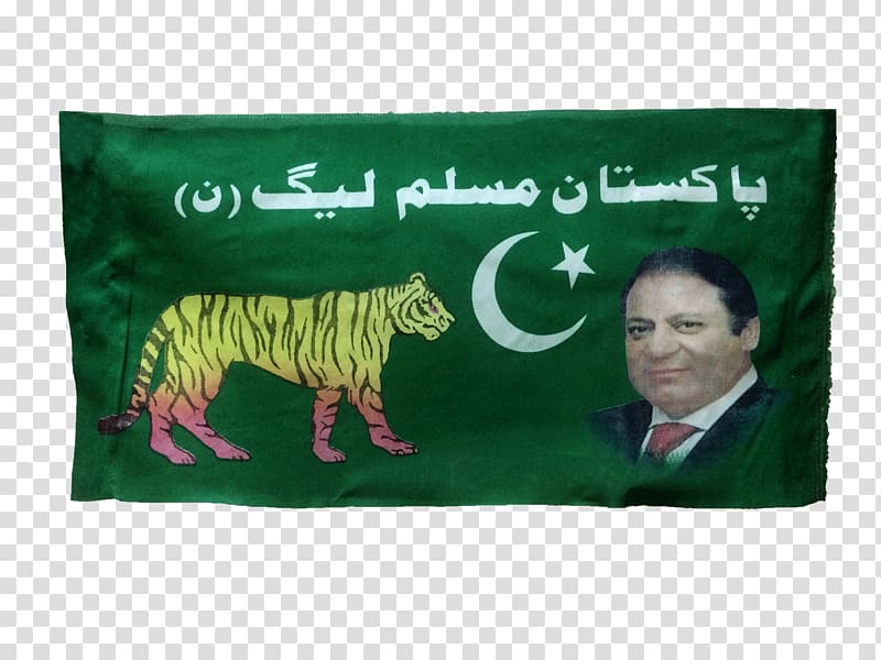 Pakistani general election, 2018 Pakistan Muslim League Political campaign, election campaign transparent background PNG clipart