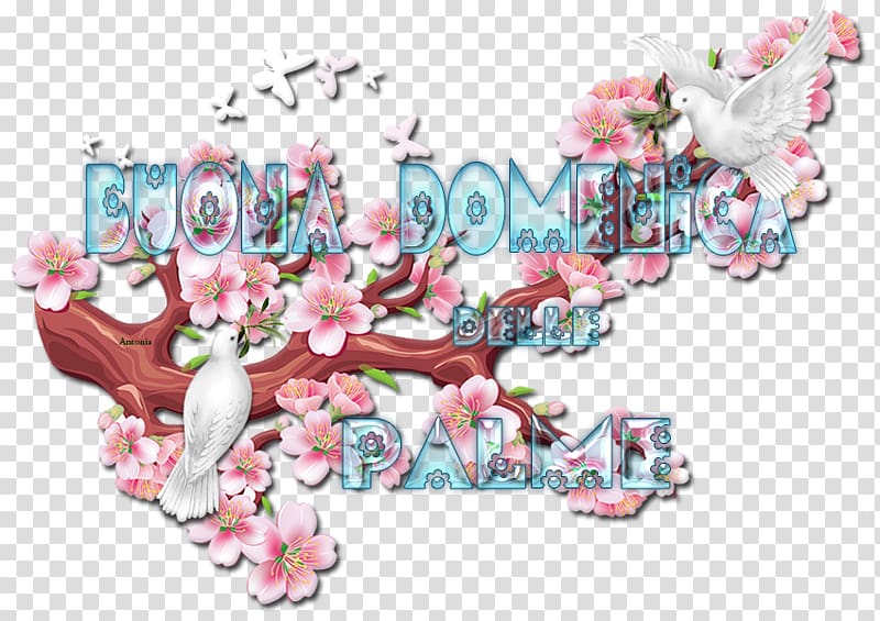 Floral design Almanacco pagano. Festività e miti dell\'antica Roma Enneagramma. Principi di base Cut flowers, flower transparent background PNG clipart