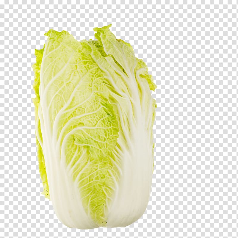 Chinese cabbage Romaine lettuce Napa cabbage Chinese cuisine, Cabbage transparent background PNG clipart