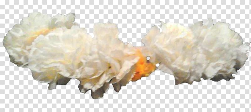 Crown Wreath Flower White, Head Band transparent background PNG clipart