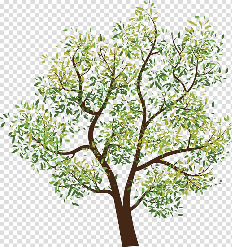 Tree Computer file, Tree transparent background PNG clipart