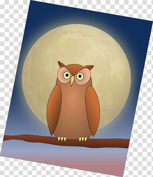 Owl Bird Moon , owl illustration transparent background PNG clipart