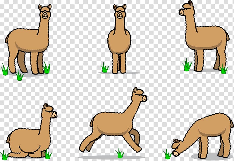 brown camel , Stick figure alpaca transparent background PNG clipart