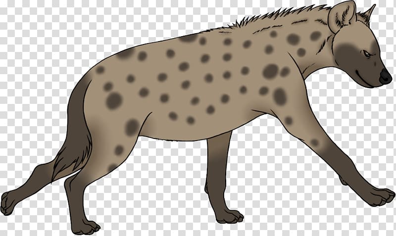Hyena Icon , Hyena transparent background PNG clipart