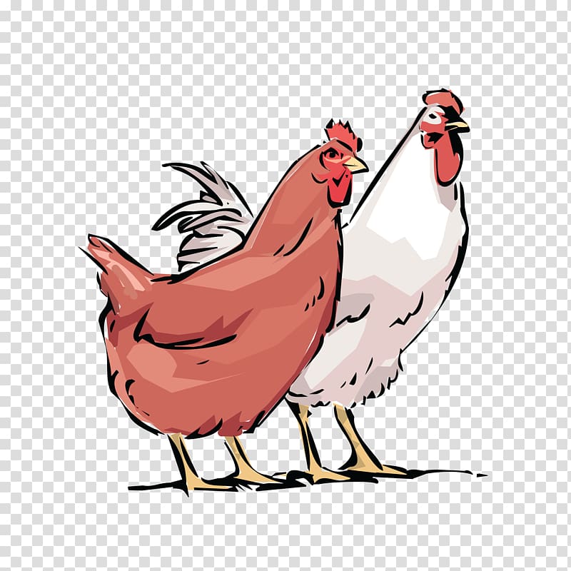 Leghorn chicken Rooster Poultry farming Fowl, rooster transparent background PNG clipart