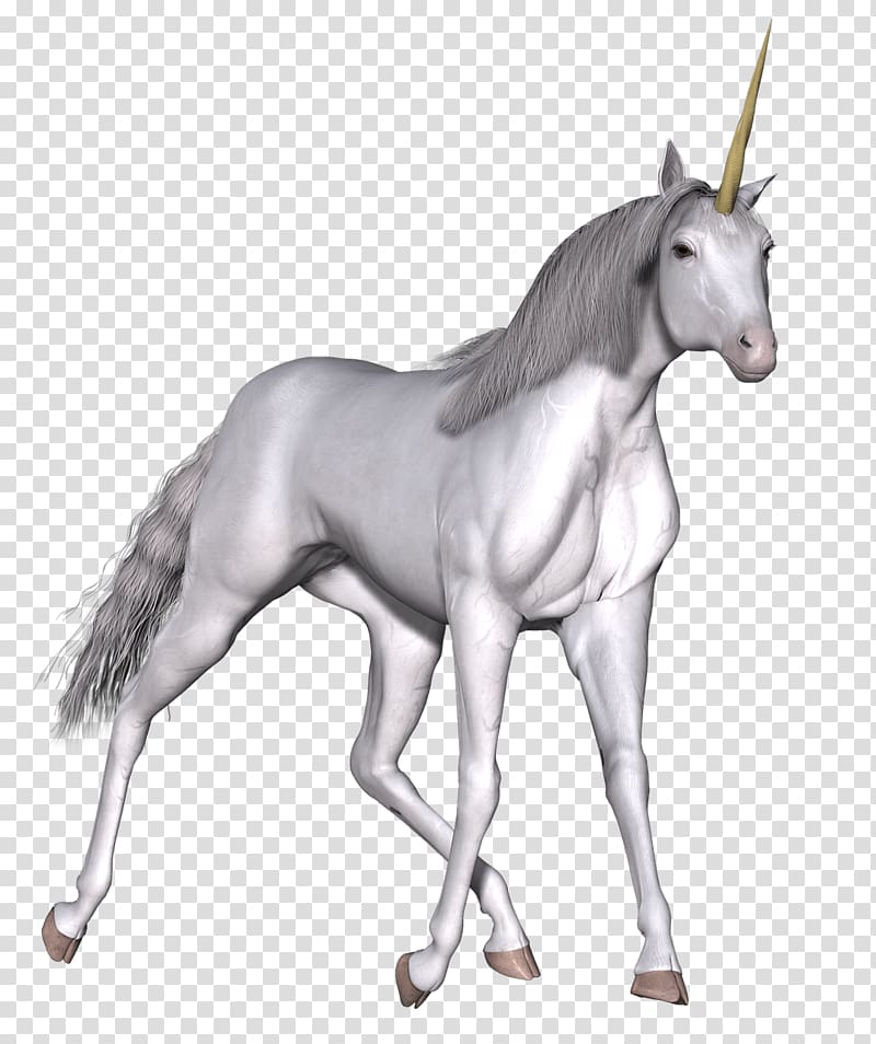 white unicorn , Full White Unicorn Walking transparent background PNG clipart