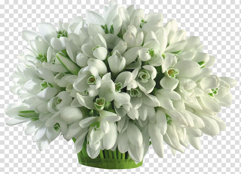 Flower bouquet Cut flowers Bulb Galanthus nivalis, crocus transparent background PNG clipart