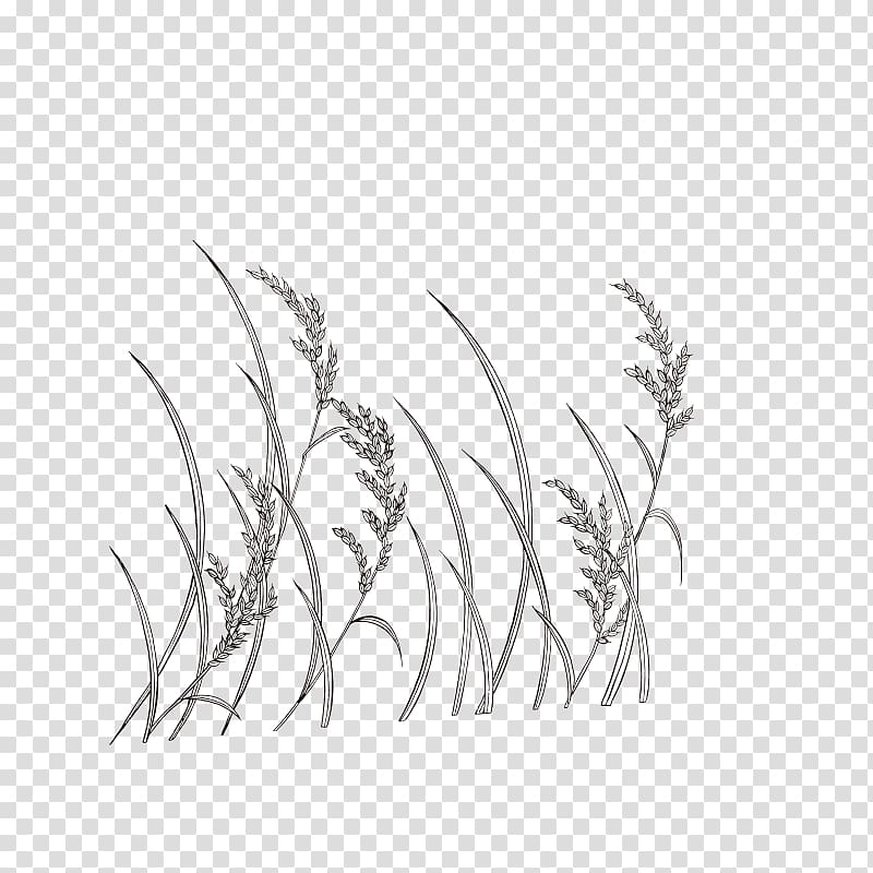 Line art Wheat Monochrome painting, Hand-painted Wheat transparent background PNG clipart