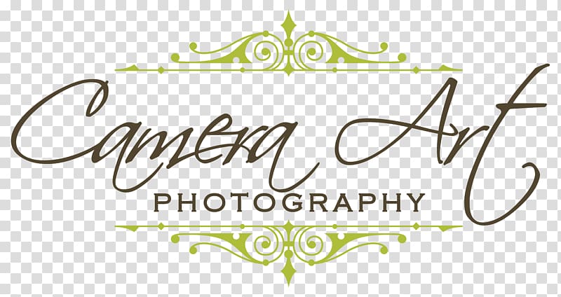 Graphic Film Fine Art Camera Camera Art Transparent Background