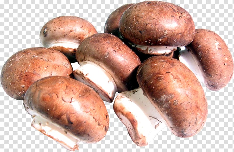 Common mushroom Shiitake Edible mushroom Food, mushroom transparent background PNG clipart