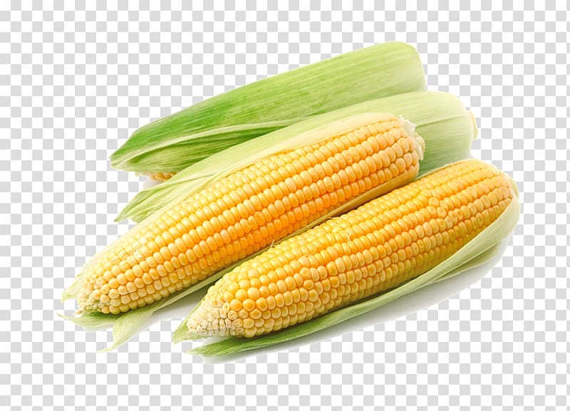 Maize Sweet corn , Corn (Maize) transparent background PNG clipart