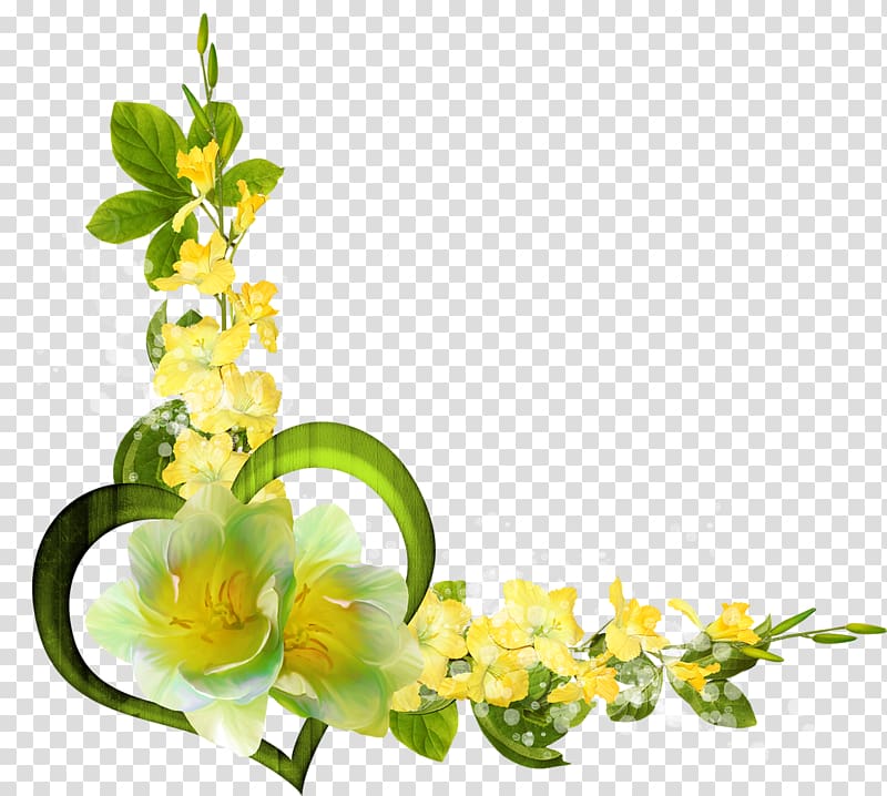 , mimosa transparent background PNG clipart