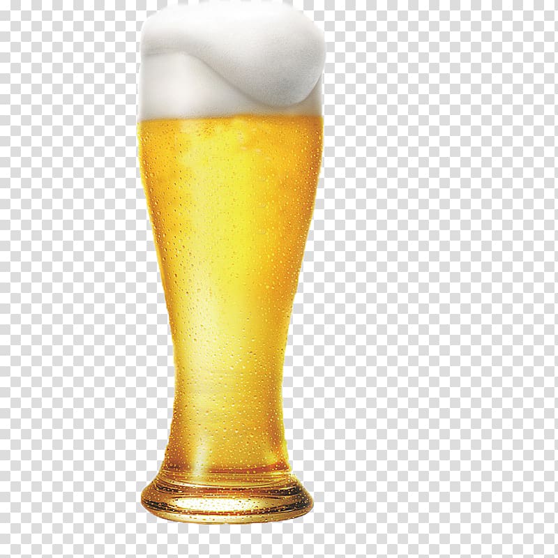 beer mug transparent background PNG clipart