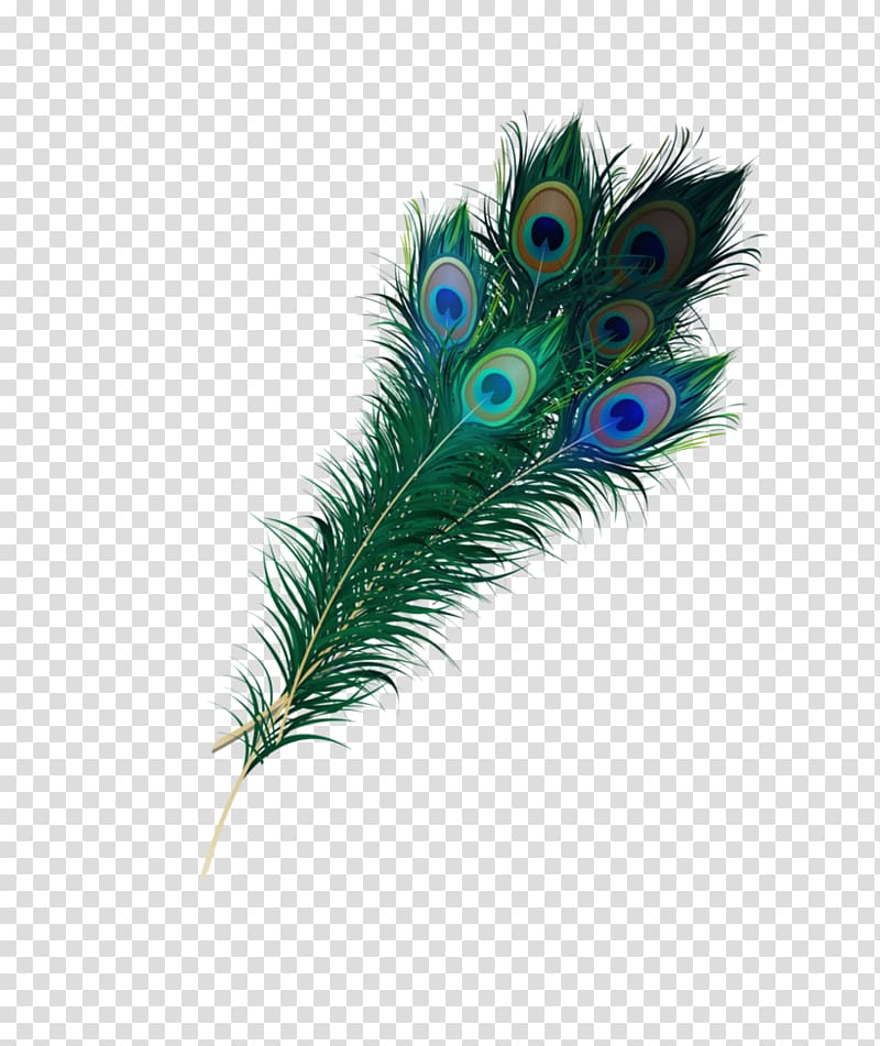 green feather, Feather Asiatic peafowl , Peacock feather transparent background PNG clipart