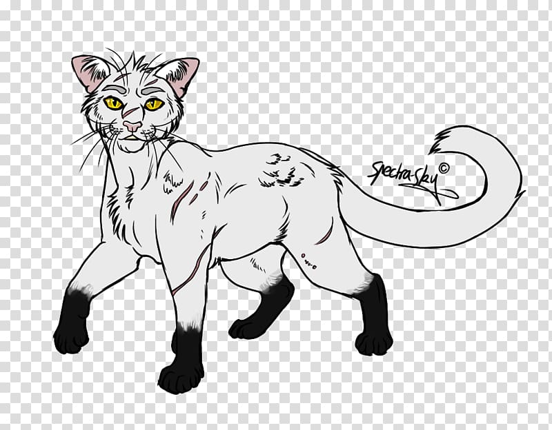 Whiskers Wildcat Art Drawing, black sky transparent background PNG clipart