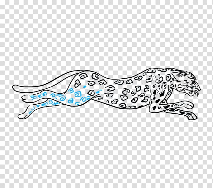 Cheetah Drawing Leopard Lion , cheetah big cat coloring pages transparent background PNG clipart