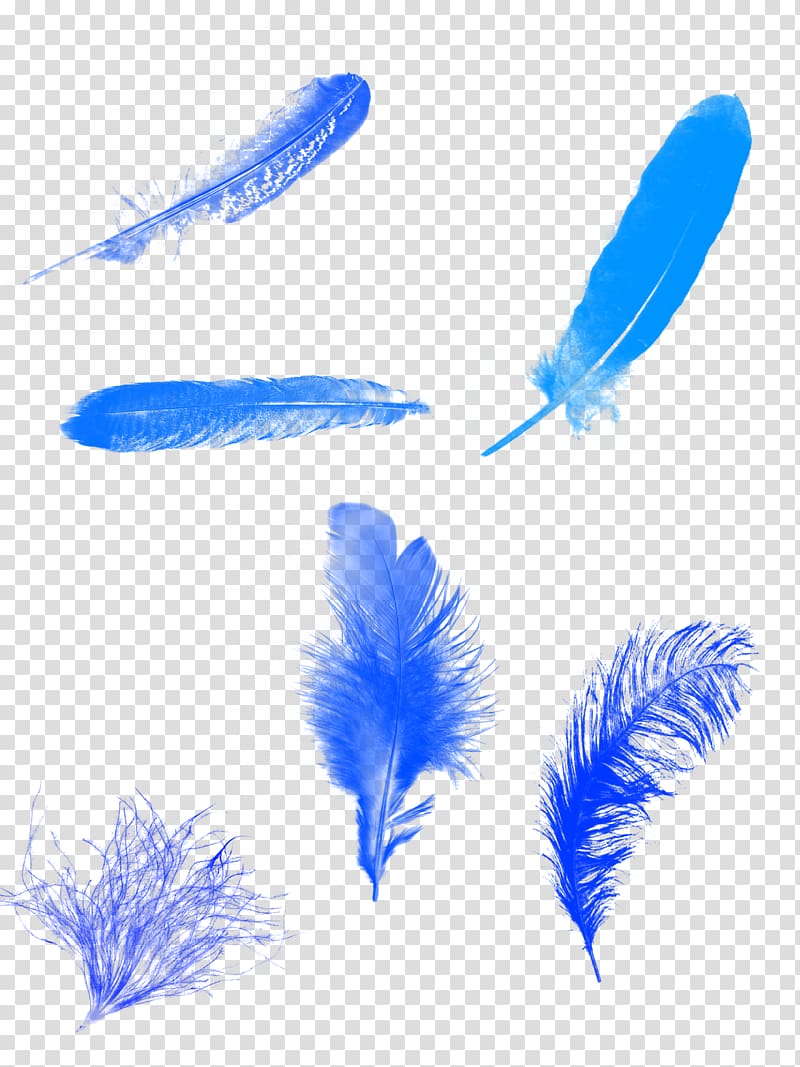 Feather Blue Euclidean Computer file, Blue feather background transparent background PNG clipart