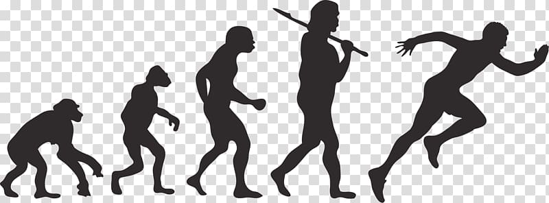 Human evolution Homo sapiens Darwinism, enterprise rallying cry transparent background PNG clipart