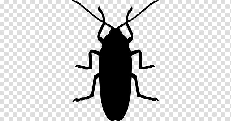 Cockroach Insect Ant Mosquito Pest Control, cockroach transparent background PNG clipart