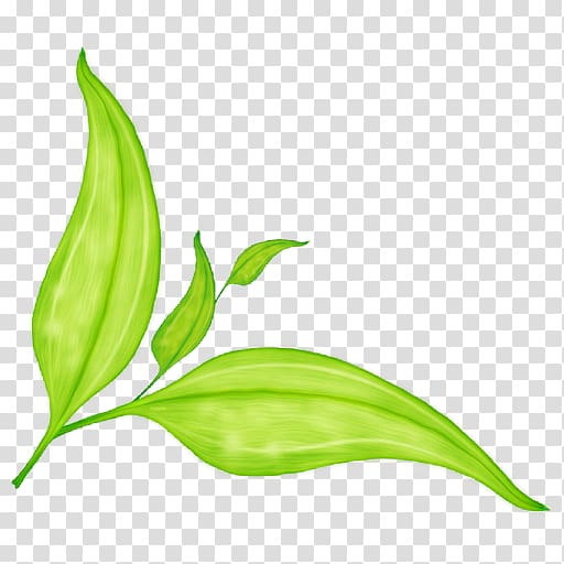 Computer Icons Green, leaves pull down transparent background PNG clipart